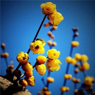 半岛综合APP下载