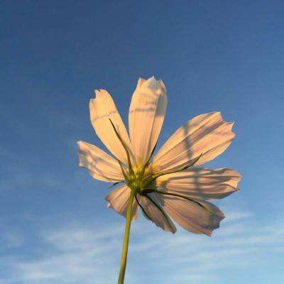 环球体育官网下载