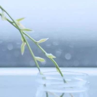 亚虎娱乐app下载app下载